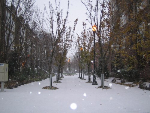 so even in Portland there is snow