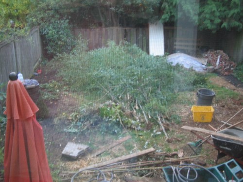 consruction debris in backyard