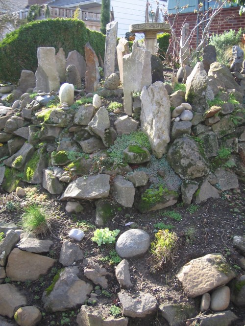 rock garden
