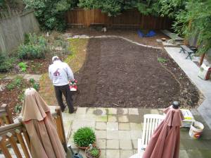 planting new grass seed