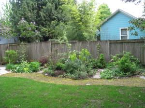 some weeds are taking over