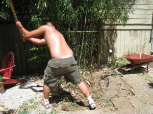 root samurai root samurai