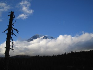 mount rainier